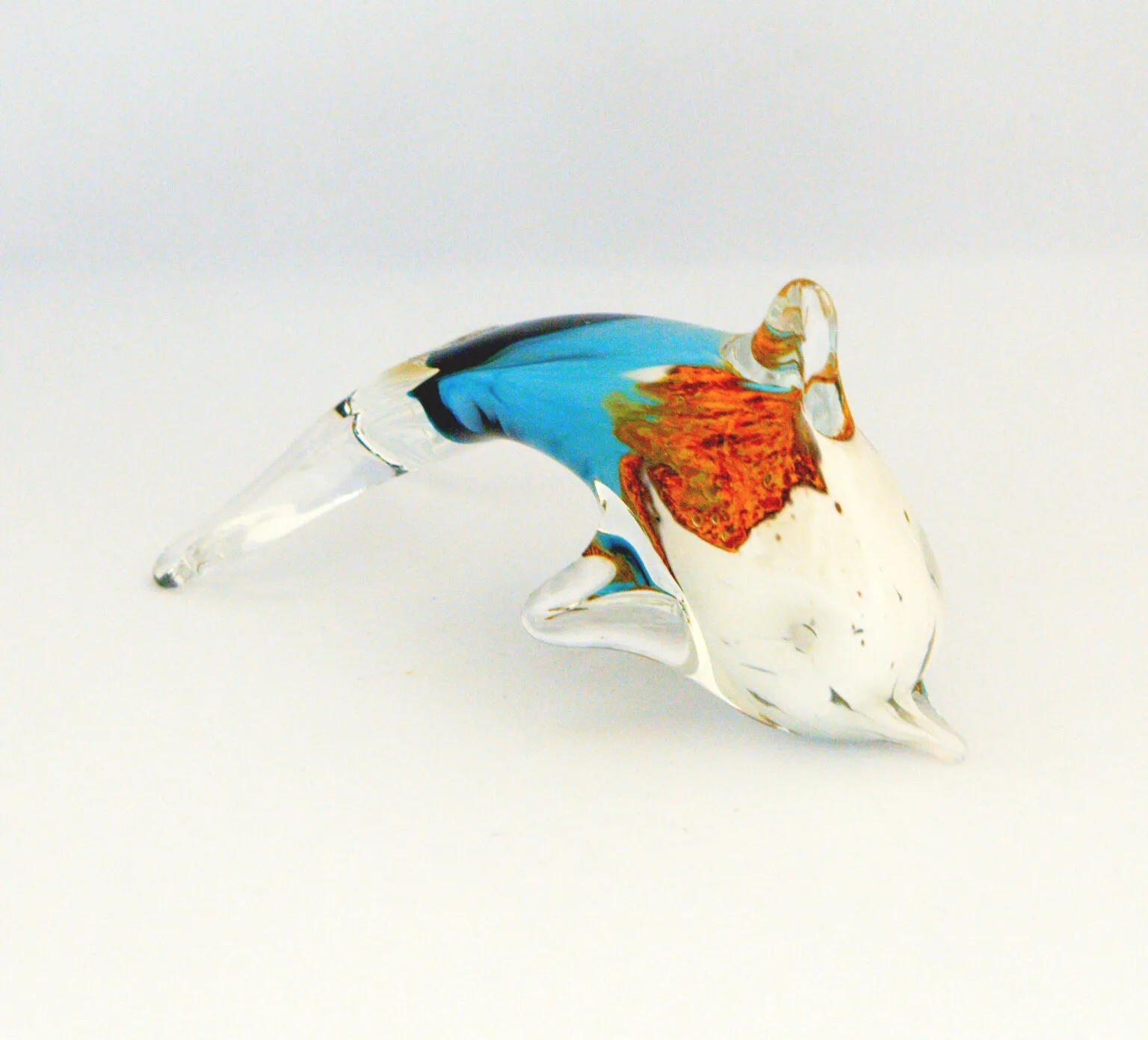 Dolphin